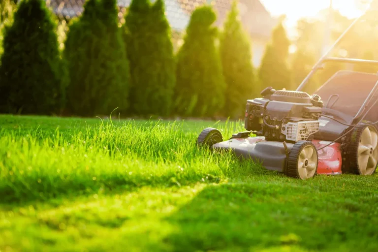Blog-Post-Featured-Pic-lawn-care