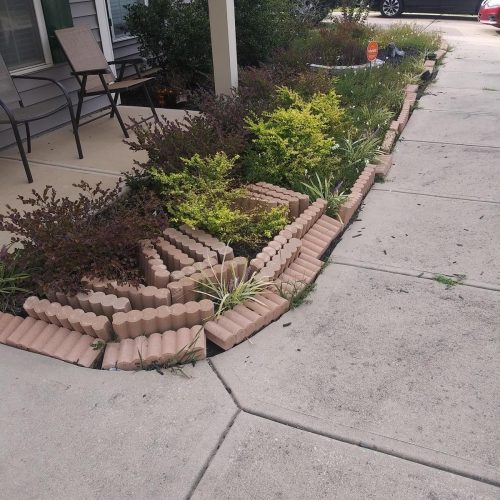 471550410_122149365560360260_8183613646209162730_n