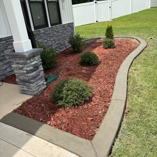 WhatsApp Image 2025-08-07 at 4.26.23 PM (1)